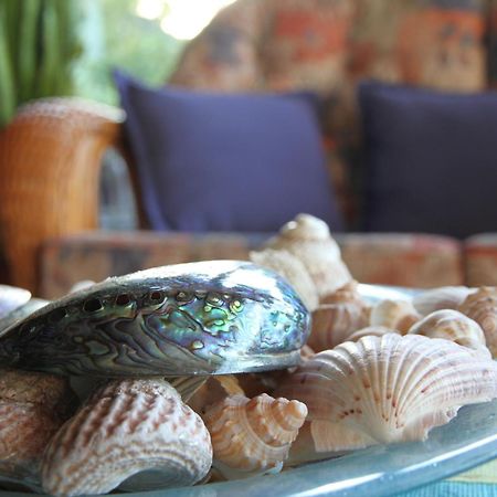 Chalet Romantica Paihia Ngoại thất bức ảnh