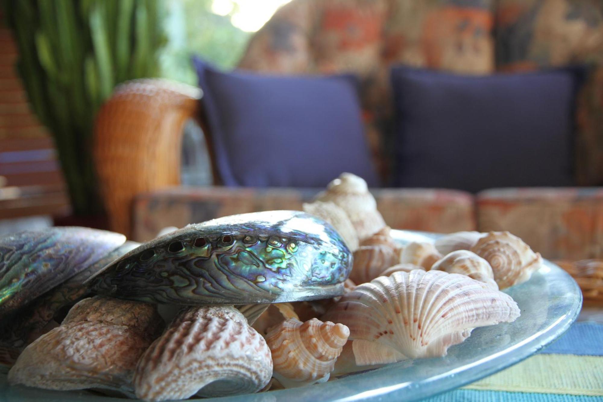Chalet Romantica Paihia Ngoại thất bức ảnh