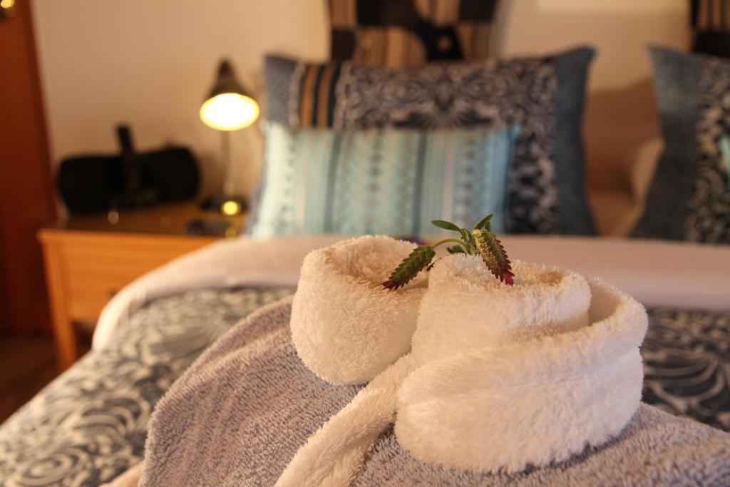 Chalet Romantica Paihia Phòng bức ảnh